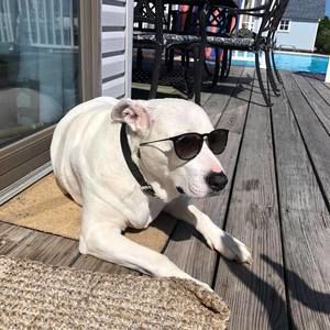 Meet your Posher, Nick